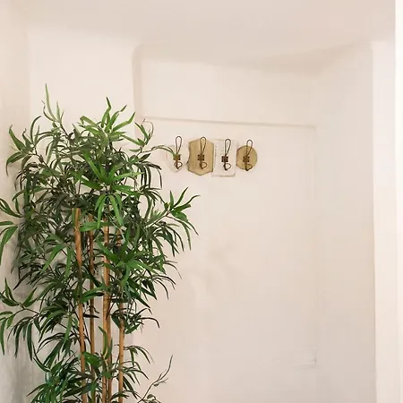 Nel Palazzo Del Sole * 사보나